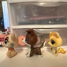 Littlest Pet Shop 3pcs Lot  No Number Puzzle Collie  rare Variant    2343   990