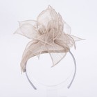 Gray Womens Sinamay Fascinator Headpiece Kentucky Derby Flower Feather Hat T342