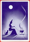 No  13 - The Snake Vintage 1960 s Gypsy Witch Fortune Telling Uspcc Playing Card