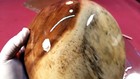 Epoxy Clear Food Safe Coating Fda Compliant  Less Sagging   Drips 4 Vertical Use