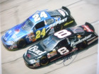 Jeff Gordon  24 Pepsi  8 Black Budweiser Chevys Nascar Autographed 8x10 Photo