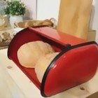 Plint Retro Breadbox  Red