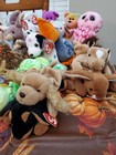Huge Beanie Baby Lot  1   New 40 Mint With Tags  Rare Bears