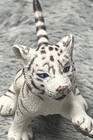 Safari Ltd Standing White Siberian Tiger Cub African Wildlife Figure