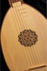 Roosebeck Deluxe 6-course Lute Walnut