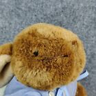 Vintage Peter Rabbit Eden Bunny Beatrix Potter Plush Stuffed Animal Easter 7 In