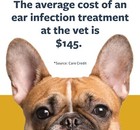 Cat Dog Ear Drops Infection Antibiotic Treatment Medicine Yeast Fungus Itching
