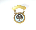 Vintage National Congress Of Parents And Teacher 1897 Pin Blue Enamel Tree Badge
