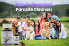 Parasite Cleanser Capsules     60 Veg Caps   Wormwood  Black Walnut  Clove  