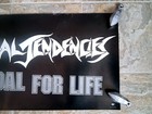 Suicidal Tendencies  Metallica 1994 Tour Poster  Record Store Promo 12  24 