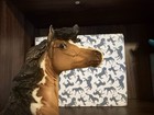 Breyer Oriole 2023 Birds Of A Feather Series 1 Of 500 Mustang Mare