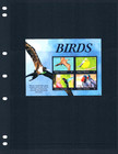  15 00 Scott Value - 2022 Antigua Birds S s Caribbean Sea Wildlife Cv Mnh Nh Umm
