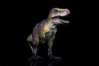 Recur 1 35 Tyrannosaurus Model Dinosaur Animal Figure Collection Scene Decor Toy