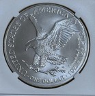 2025 American Eagle 1 Ounce 999    - In Capsule