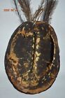 Papua New Guinea Sepik Shell Mask  Feathers 8  1900s