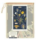 Cavallini   Co  Dandelion Vintage Style Cotton Tea Towel