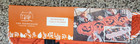 Quilted Pumpkin Reversible Rachel Ashwell Farmhouse  Table Runner 16x48