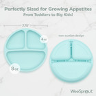 Silicone Plates With Lids For Babies   Toddlers  3 Pack  100  Food-grade Dishes