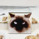 Lot Of 3 Vintage Cat Refrigerator Magnets Mixed Types And Sizes Wood   Ceramic