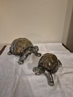 2 Unique Tortoise Metal   Plastic Figure Decor Speckled Shell Garden Terrarium 