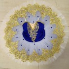 Ballet Tutu Professional Ballet Dress Girls Ballerina Party Ballet Dance Costume
