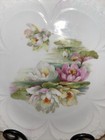 Antq German Cake display Plate Hand Painted Water Lillies And Their  Reflections
