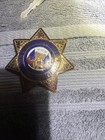 Vintage Official Obsolete Badge Security Special Officer Sun Badge Co La County