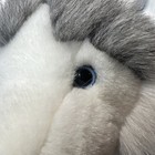 Douglas Cuddle Toys  nadia The Husky Dog  Realistic Plush Stuffed