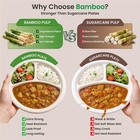 3 Compartment Disposable Paper Plates 10    Heavy Duty Dinner Plates Bulk 125 250