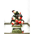 Vintage Peach Tree Bonsai Table Decor  Abundance Jade Tree 