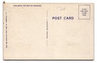 Vintage Linen Postcard Scenic Garden Pathway By Asheville Post Card Co 