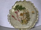 3 Vintage Acrylic Lucite Pressed Flower Coffee Table Art Craft Glitter 3 X 5 Set