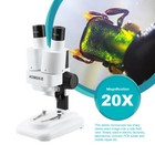 20x Binocular Stereo Microscope With Led For Pcb Solder Repair Tool Hd Vision