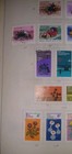 New Zealand Stamp Collection 1971-1975 Mint   Used Mixed 92 Stamps Lot