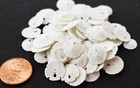 12 Very Tiny White Florida Sand Dollars  tiny Size  1 2 - 3 4   Beach Wedding