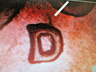 1960-d Lincoln Cent Roll These Rolls Have Rpm  10 D Over D North In Them Gem  Xx