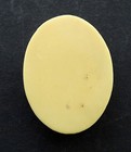 Antique Dutch Boy Vintage 3d Celluloid Retractable Sewing Tape Measure Germany