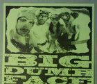 Big Dumb Face  wes Borland Limp Bizkit  Poster 2001 Org Concert Show Flyer