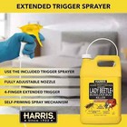 Asian Lady Beetle   Box Elder Killer  Liquid Spray With Odorless   Non-staining