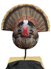 Collapsible Turkey Hunting Decoy Brand New Nib