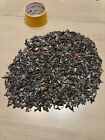 Lot Of 100  Fossilized Shark Teeth 1 4 -3 4  Size