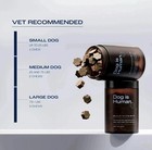 Dog Is Human Daily Multivitamin  beef  - Vet-made  Vermont Soft Chews Exp