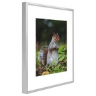 Golden State Art 11x14 Picture Frame 3 Pack - Aluminum Frames With 8x10 Removabl