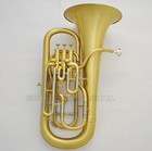 Professional Brushed Brass Compensating System Euphonium Horn B-flat Wheels Case