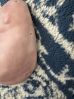 Pre-painted Tummy Plate For Reborn 18 To 20    Doll - Reborn Doll Supplies