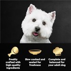 Cesar Adult Wet Dog Food  Filet Mignon   Rotisserie Chicken  1 76 Oz  80 Count