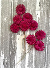 Antique Vintage Millinery Magenta Daisy Stem With Pom Pom Centers- For Two