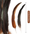 Colorful Rooster Tail Feathers-50pc 10-12inch Natural Long Rooster Tail Feath 