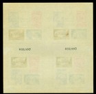 Argentina 1939 Buenos Aires Upu Congress Complete Imperf  Block S s Mint Mnh Vf