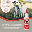 Four Oaks Farm Ventures Goat Hoof Coat Powder - Wound Care Heals prevents Foot